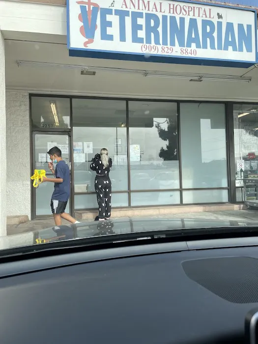 Animal Hospital Veterinarian 12