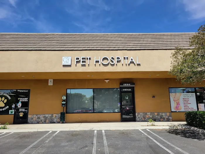 Walnut Village Pet Hospital 12