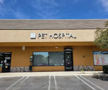 Walnut Village Pet Hospital