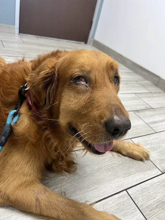Jurupa Hills Animal Hospital 12