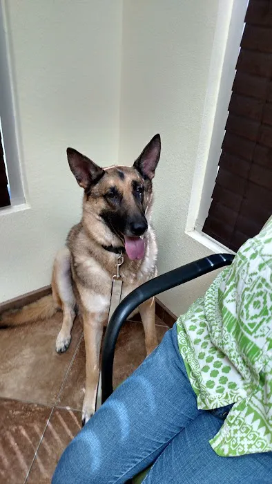Prestige Animal Hospital - South Fontana 2