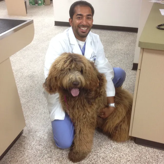 Prestige Animal Hospital - South Fontana 10