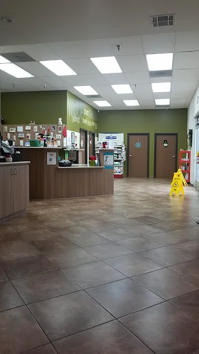 Prestige Animal Hospital - South Fontana 8