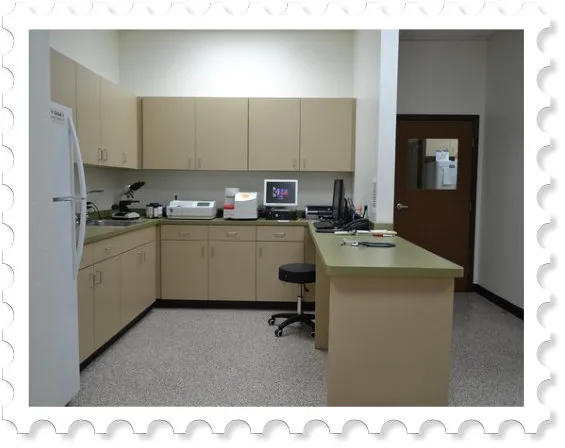 Prestige Animal Hospital - South Fontana 9