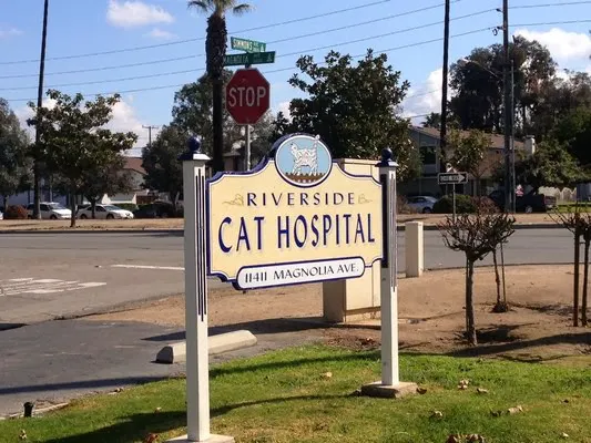 Riverside Cat Hospital 12