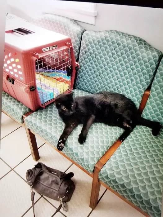 Riverside Cat Hospital 12