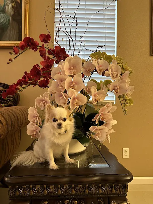 Animal Hospital of Riverside 1