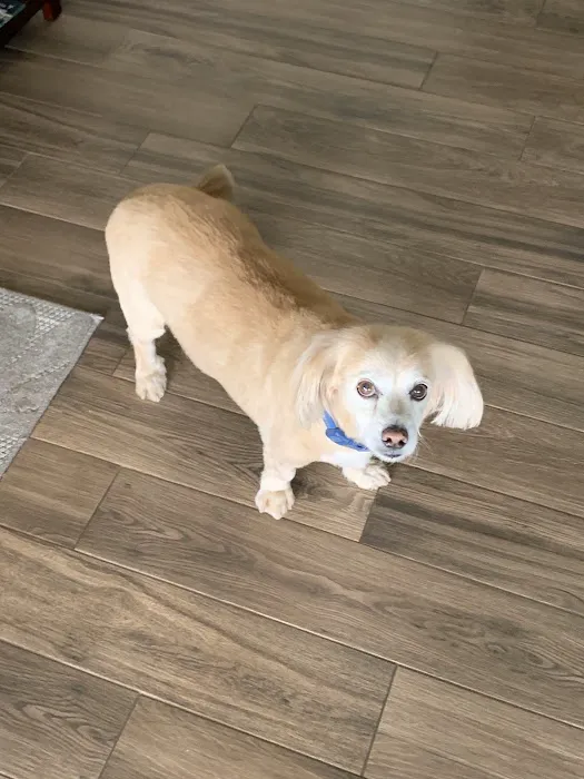 La Sierra Veterinary Clinic 12