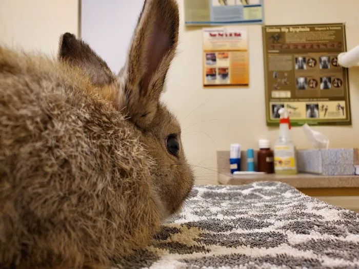 La Sierra Veterinary Clinic 12