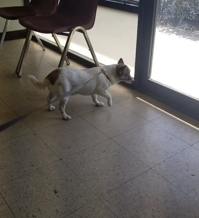 Van Buren Animal Hospital 12