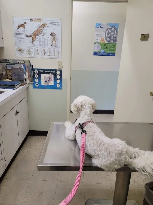 Van Buren Animal Hospital 12