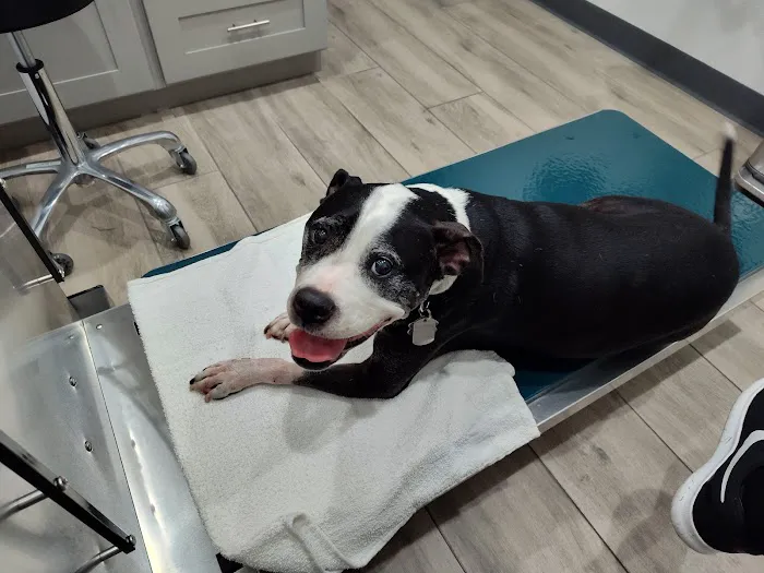Arlington Animal Hospital Inc. and 24 Hour Emergency Center 12