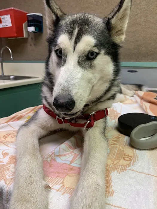 Arlington Animal Hospital Inc. and 24 Hour Emergency Center 12