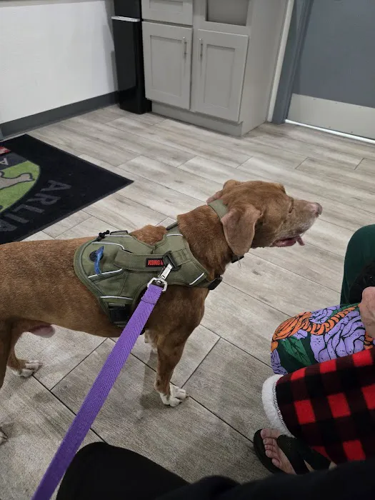 Arlington Animal Hospital Inc. and 24 Hour Emergency Center 12