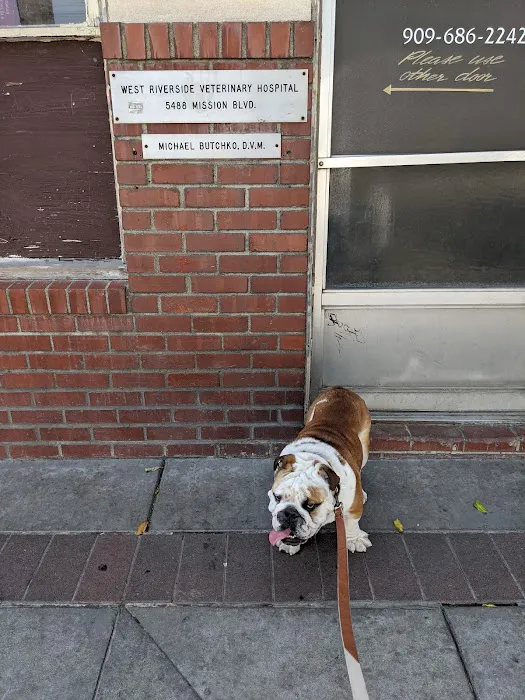 West Riverside Veterinary Hospital 12