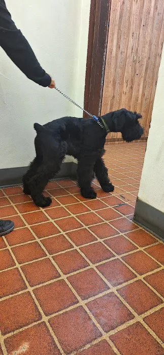 West Riverside Veterinary Hospital 12