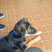 West Riverside Veterinary Hospital ico