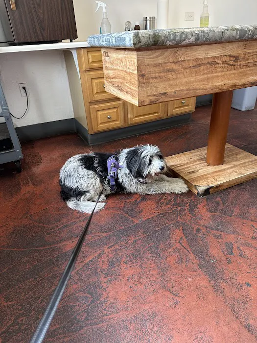 West Riverside Veterinary Hospital 12