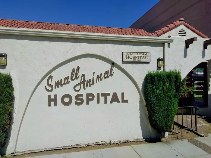 Small Animal Hospital 12