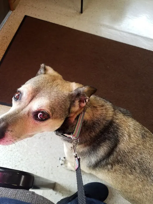 Anacortes Animal Hospital 2