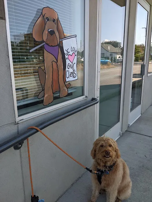 Whistle Veterinary Clinic 1