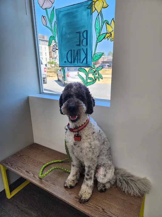 Whistle Veterinary Clinic 9