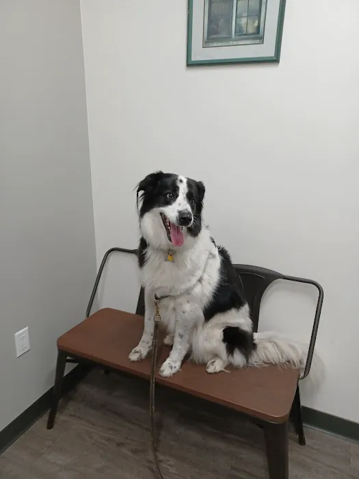 Whistle Veterinary Clinic 2