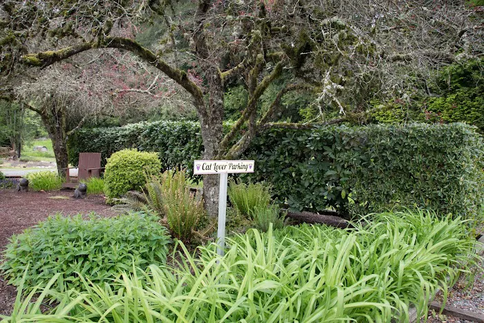Cat Nap Inn, Cat Boarding, Bed and Breakfast Exclusively for Cats 9
