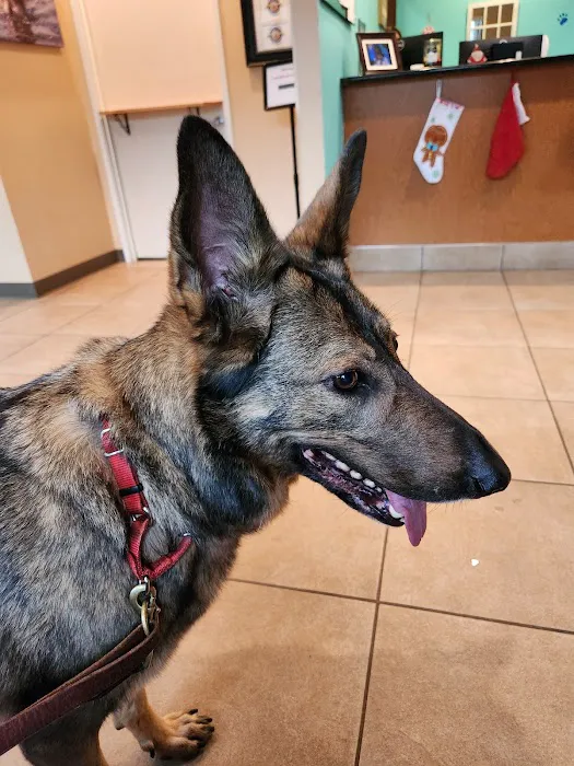 Belltowne Veterinary Center 5
