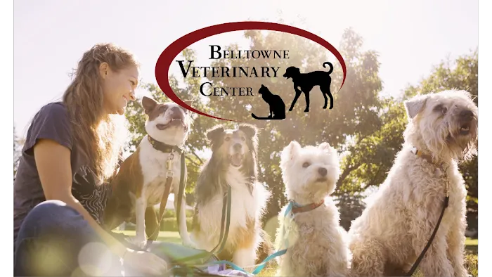 Belltowne Veterinary Center 10