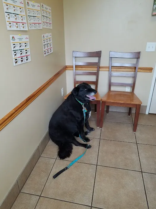 Belltowne Veterinary Center 7