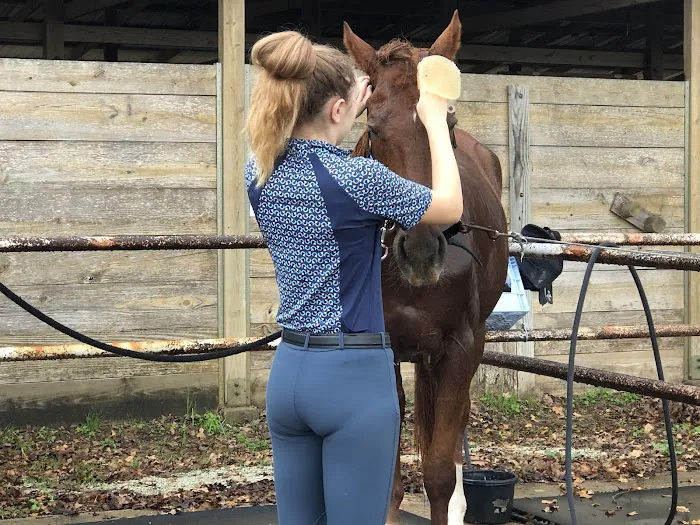 Marden Animal Clinic 5