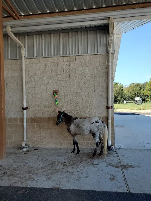 Texas Equine Hospital 3