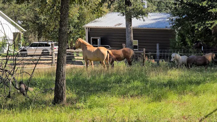 Texas Equine Hospital 1