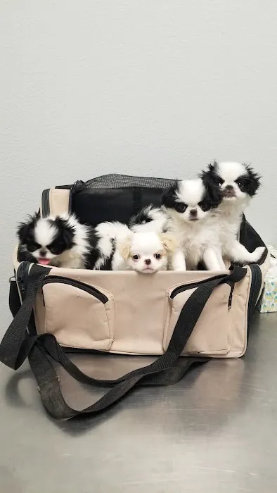 Kurten Veterinary Services 3
