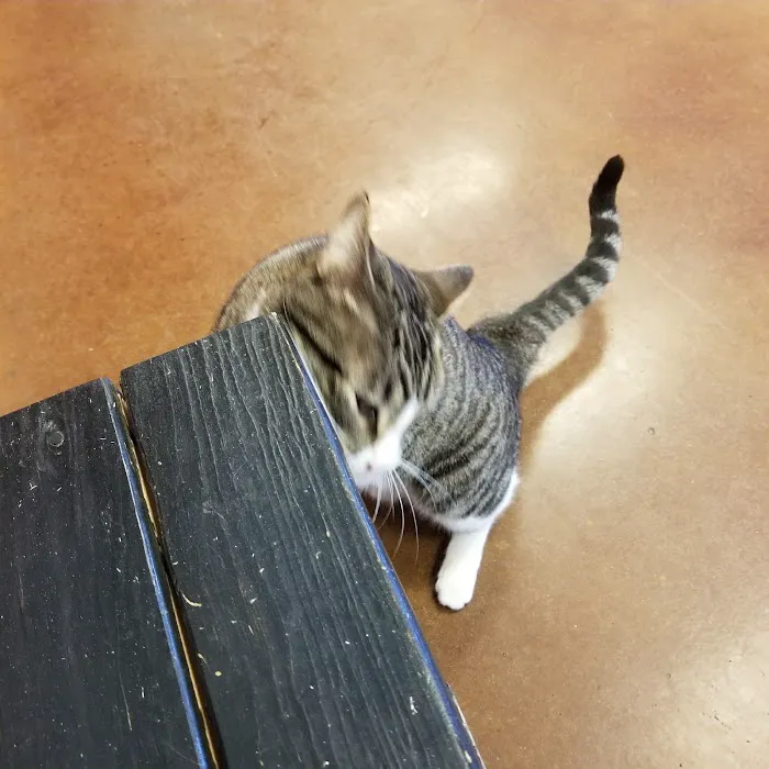 Kurten Veterinary Services 8