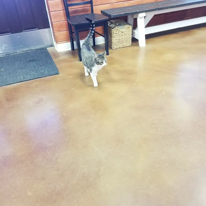 Kurten Veterinary Services 6