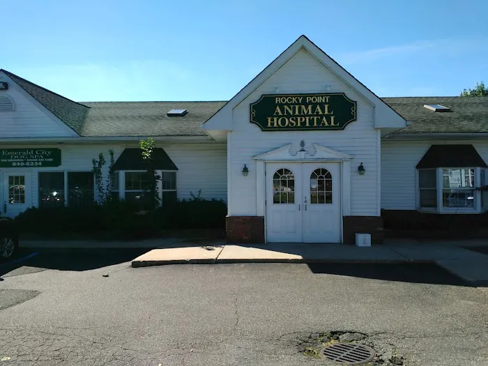 Rocky Point Animal Hospital 6