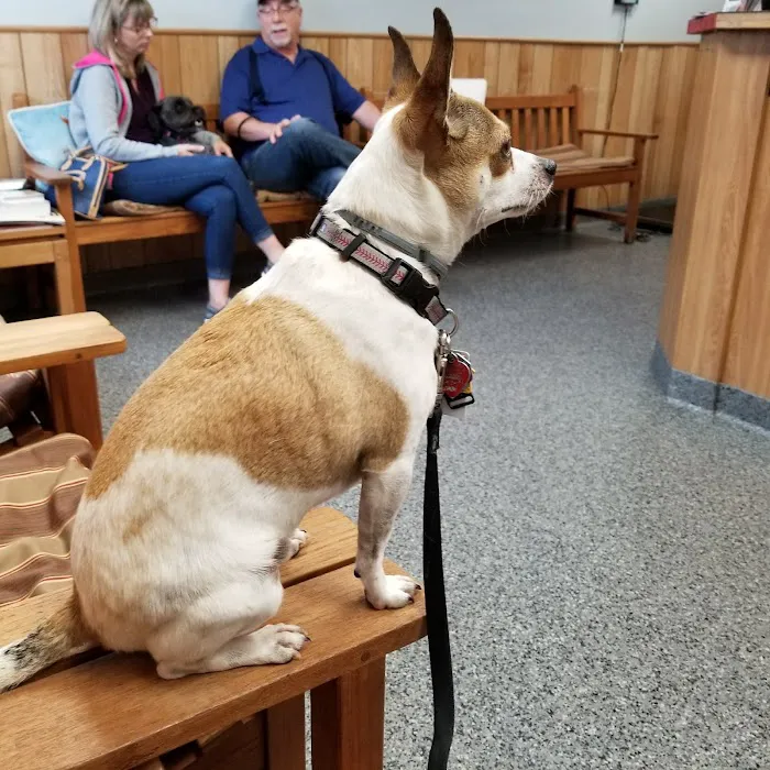 Rocky Point Animal Hospital 9