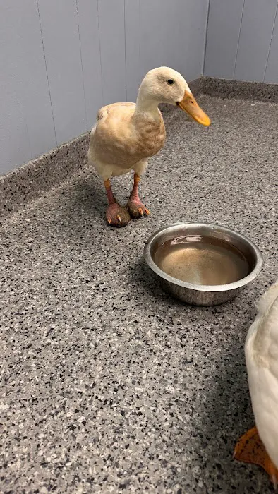 Rocky Point Animal Hospital 3