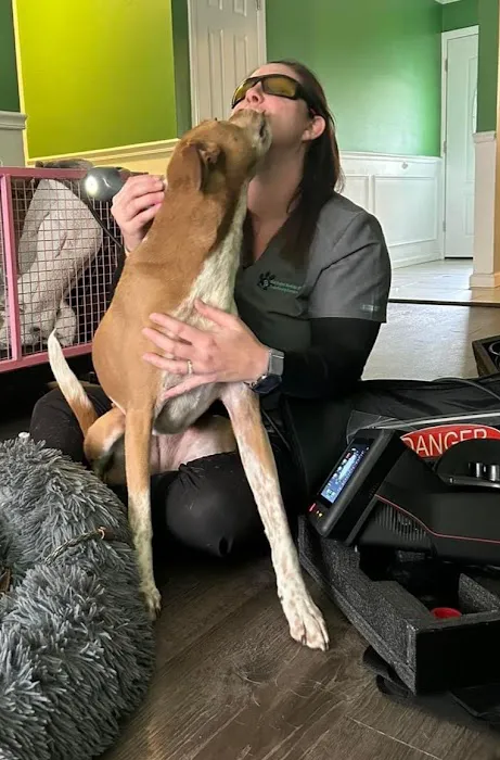 On Point Mobile Acupuncture Veterinary Services 3