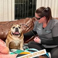 On Point Mobile Acupuncture Veterinary Services ico