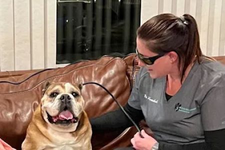 On Point Mobile Acupuncture Veterinary Services