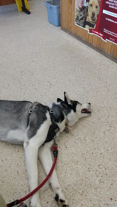 Wading River Veterinary Hospital 5