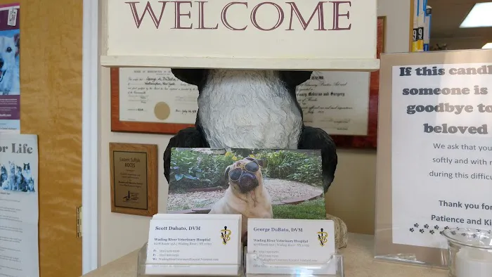 Wading River Veterinary Hospital 2