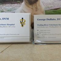 Wading River Veterinary Hospital ico