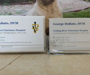 Wading River Veterinary Hospital