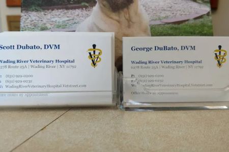 Wading River Veterinary Hospital