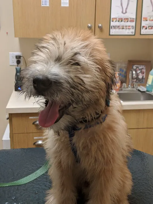 Wading River Veterinary Hospital 9