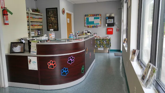Integrative Veterinary Therapies, P.C. 7